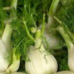 Água morna com erva-doce – silêncio numa chávena